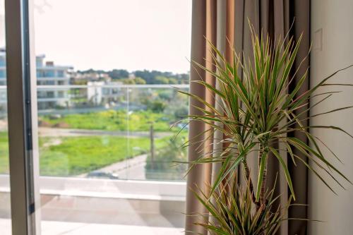 a potted plant sitting next to a window with a view at Blue Oasis Apartment in Nea Paphos