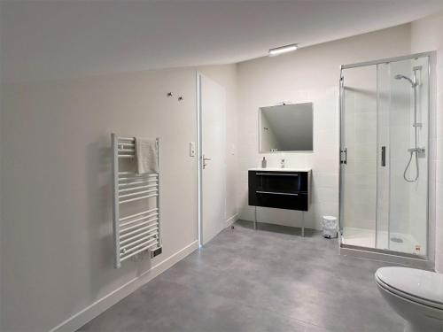 a white bathroom with a shower and a toilet at ALBIAPPPART CENTRE in Albi