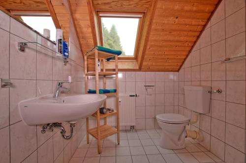 a bathroom with a sink and a toilet at Feriendorf Blauvogel Blauvogel 062 in Hasselfelde