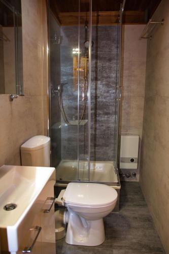 a bathroom with a shower and a toilet and a sink at Hasselhäuser Hasselhaus 4 in Hasselfelde