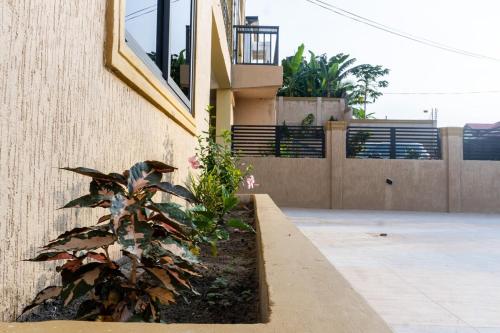 a house with a plant next to a building at Agape Villa Apartment in Sekondi-Takoradi