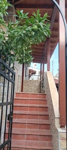 4 Bedroom House Florinas