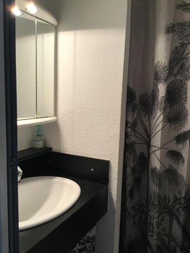 une salle de bain avec un lavabo et un miroir dans l'établissement Charmant studio cabine avec piscine, au Cap d'Agde