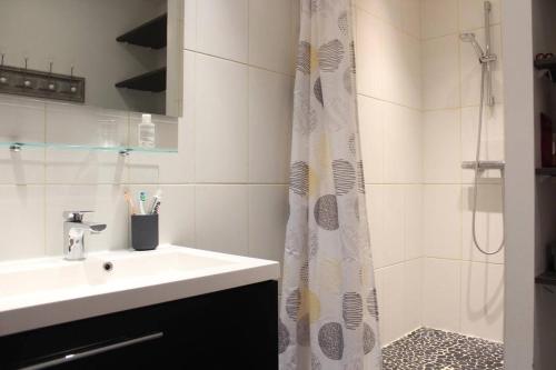 une salle de bain avec un lavabo et une douche dans l'établissement Appt 3 pièces LA ROCHELLE - LR520-046, à La Rochelle