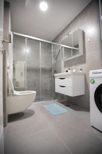 a bathroom with a sink and a toilet and a shower at Favorit apartman in Trebinje