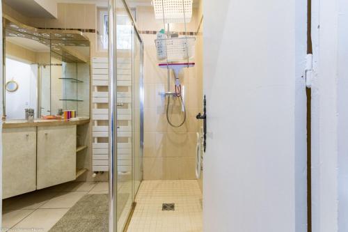 a bathroom with a shower and a sink at Petit Paradis au coeur du Morvan in Dun-les-Places