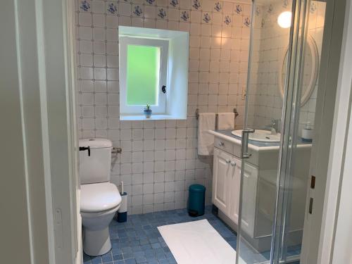 a bathroom with a toilet and a sink and a mirror at Château d'Argentonesse in Castels