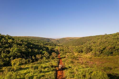 a train traveling through a lush green forest at Sediba Luxury Safari Lodge in Welgevonden Game Reserve