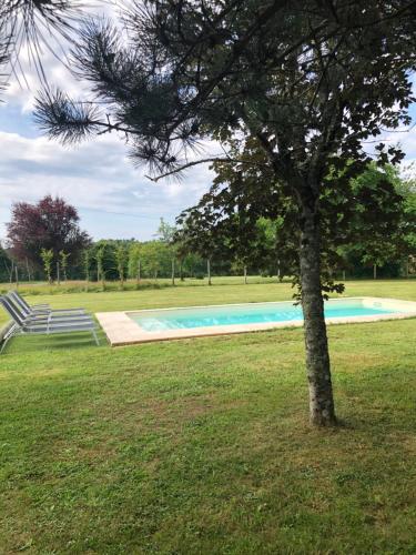 un arbre dans l'herbe à côté d'une piscine dans l'établissement Maison en Périgord Les Pins, à Soulaures
