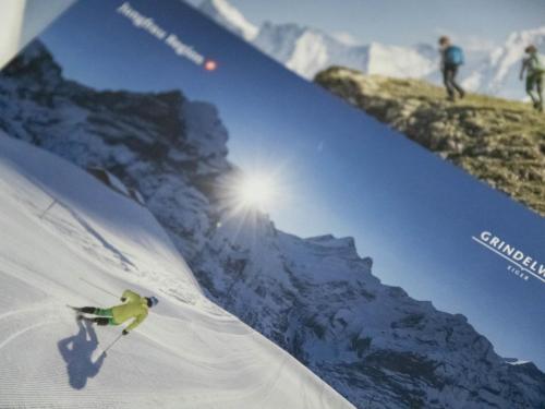 a person skiing down a snow covered mountain at Apartment Chalet Abendrot apARTments-3 by Interhome in Grindelwald