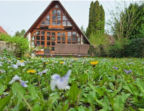 a garden with flowers in front of a house at Islandwonder in Tahitótfalu