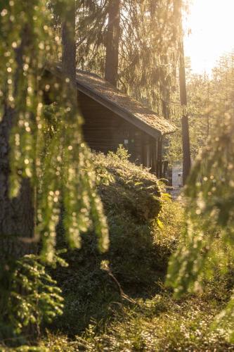a cabin in the middle of a forest with trees at Hotel Korpilampi in Espoo