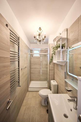 a bathroom with a toilet and a shower and a sink at Anda Apartment Spa Pool beach resort in Mamaia
