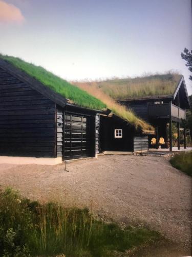 a large black building with a grass roof at Remestøylflotti Hyttegrend in Hovden