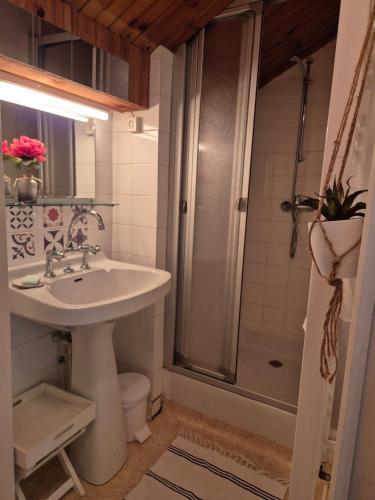 une salle de bain avec un lavabo et une douche dans l'établissement La Gleyzinière 3, à Allevard