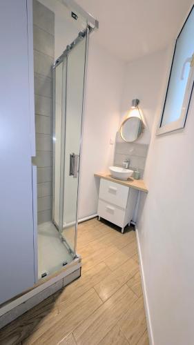 une salle de bain avec douche et lavabo dans l'établissement Au Zen Centre Ville Auxerre, à Auxerre