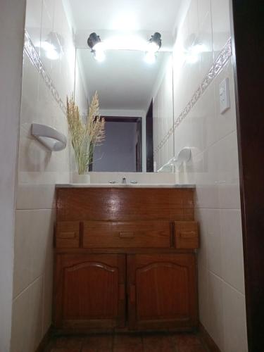 un baño con lavabo y espejo en Tinkunaco Merlo, en Merlo