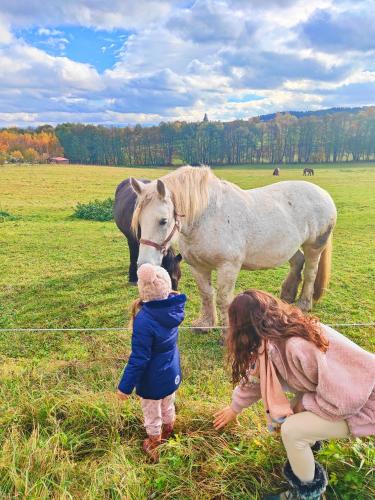 a group of children petting a white horse in a field at Glamping Niebiańska Osada Jurty Dolnośląskie & SPA in Polanica-Zdrój