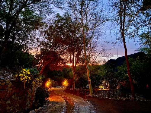 a dirt road with trees and a sunset in the background at Fevertree Private Lodge in Warmbaths