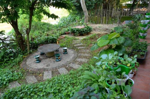 a garden with a table and some plants at Homestay 5 Sach in Hue