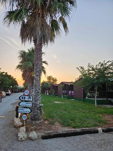 Κήπος έξω από το Bungalows Park Albufera
