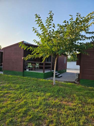Κήπος έξω από το Bungalows Park Albufera