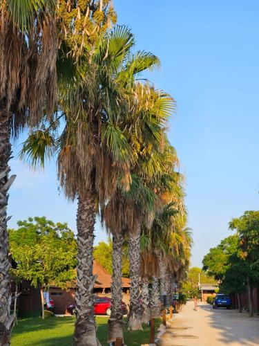 Κήπος έξω από το Bungalows Park Albufera