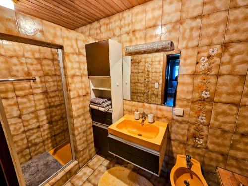 a bathroom with a sink and a mirror at Haus Theresia in Lengfelden