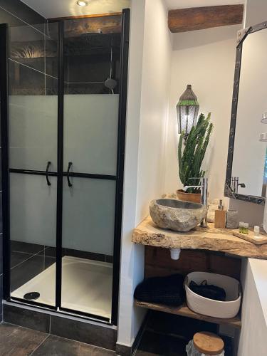 une salle de bain avec une douche en verre avec un lavabo dans l'établissement La Voûte du Pilat & options SPA, massage, à Saint-Chamond