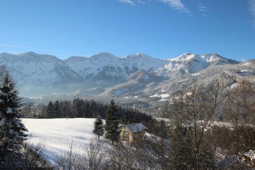 a snowy field with mountains in the background at Dachstein Chalet - Mountain view in Bad Goisern