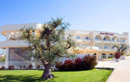 un hotel con un albero di fronte a un edificio di Grand Hotel Olimpo ad Alberobello