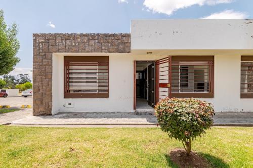 a small tree in front of a house at Taz's house in Hacienda Yacucalle