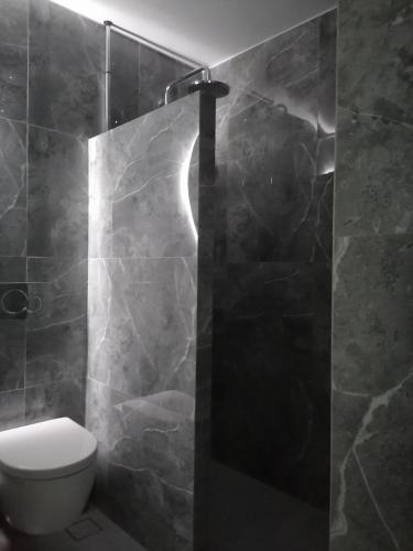 a bathroom with a toilet and a shower at Remezzo in Koutalás