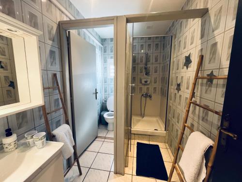 a bathroom with a shower and a toilet at Kazyab in Saint-Pierre