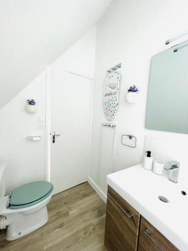 a bathroom with a toilet and a sink and a mirror at Passage des arts - Vieux Lille - 2 personnes in Lille