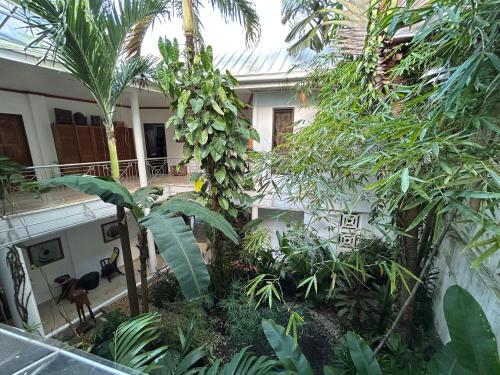 a house with a bunch of bananas hanging from trees at Argonauta Boracay Apartment Suites and Villas in Boracay