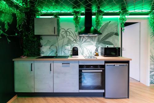 a kitchen with a sink and a stove at L'Oasis Tropicale, Jacuzzi, Love Room in Roppenheim