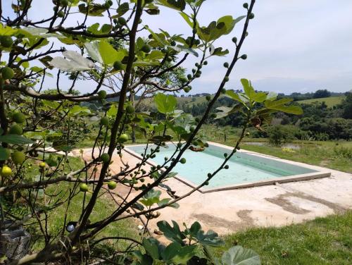 a swimming pool in a field with a tree at Cantinho da Paz in Socorro