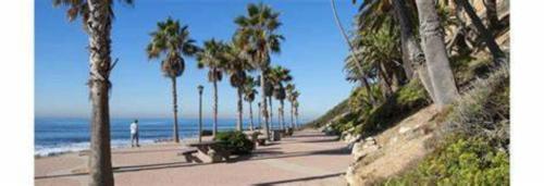 a beach with palm trees and a man walking down a sidewalk at Motel 6 San Pedro, CA Port of Los Angeles in San Pedro