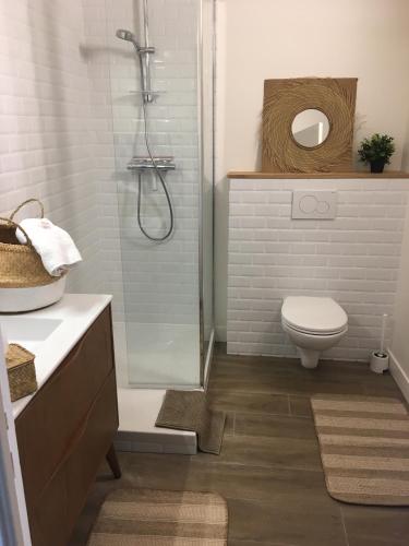 une salle de bain avec une douche, des toilettes et un lavabo dans l'établissement APPART-STUDIOS VUE MER PANORAMIQUE ST GUENOLE Côté Mer, à Penmarcʼh