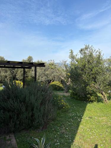 a garden with a table and some bushes and trees at la campagna al mare in Sirolo