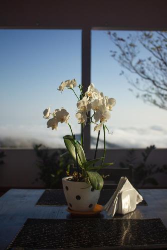 Fotografie z fotogalerie ubytování Nosara Hideaway 2 - BREAKFAST INCLUDED & Mountain View Cabins v destinaci Nicoya