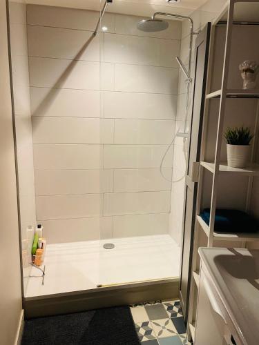 une douche avec une porte vitrée dans une salle de bain dans l'établissement Loft Reims - Parking gratuit, à Reims