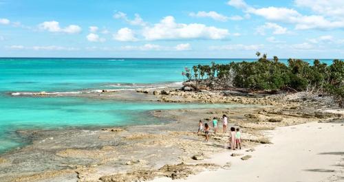 un gruppo di persone che camminano su una spiaggia vicino all'oceano di Beaches Turks and Caicos Resort Villages and Spa All Inclusive a Providenciales