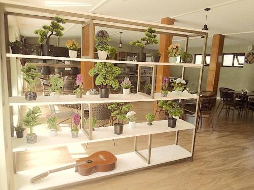 HoimaにあるZebi Ecolodgeのギャラリーの写真