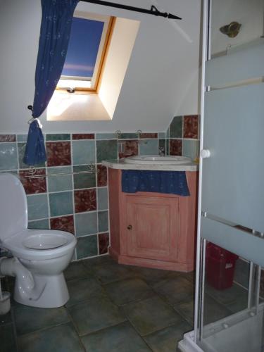 a bathroom with a toilet and a sink at Gîte Le Bédigas in Béduer