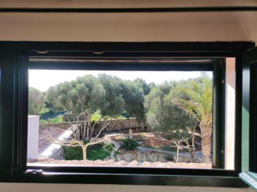 a view of a garden through a window at Turismo Rural Biniati des Pi in Sant Lluis