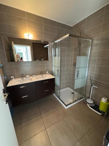 une salle de bain avec douche et lavabo dans l'établissement Luxury residence apartment with sea view, parking, à Ajaccio