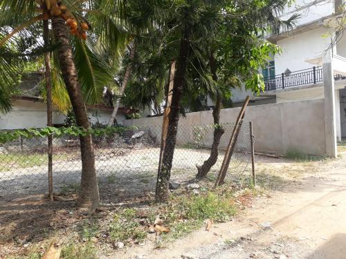 Φωτογραφία από το άλμπουμ του Jaans Inn σε Ratmalana South