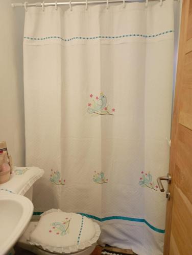 a bathroom with a shower curtain with a toilet at Casa castro chiloe in Castro